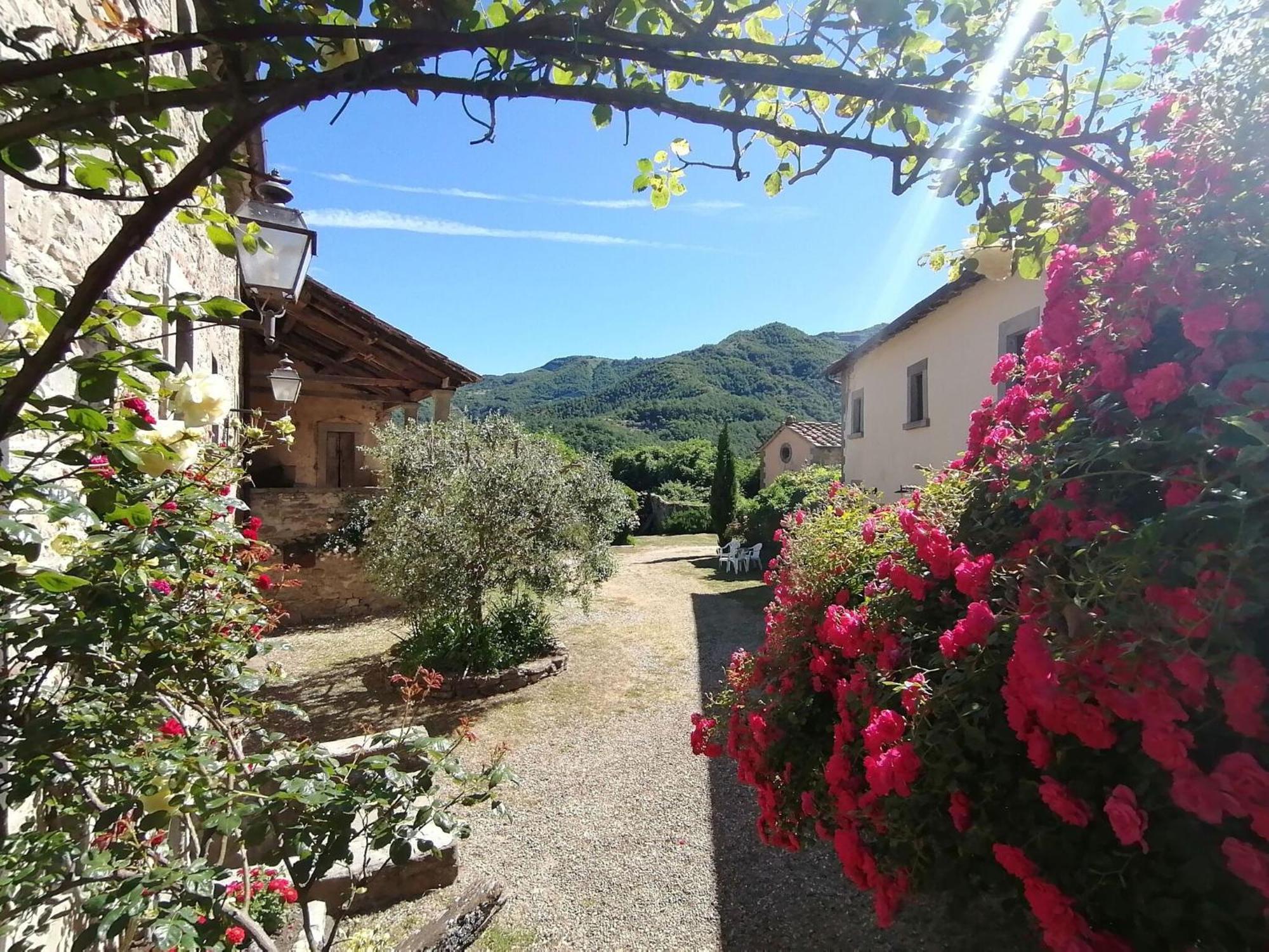 Comfy Home In San Godenzo With Lake Nearby Exterior photo